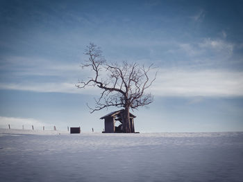 Lonely shed