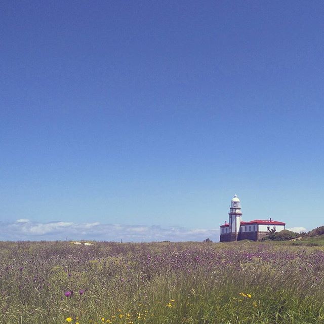 built structure, field, building exterior, clear sky, architecture, blue, copy space, landscape, grass, tranquil scene, lighthouse, rural scene, tranquility, nature, beauty in nature, scenics, house, sky, day, no people