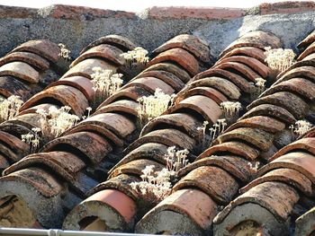 Close-up of stack of firewood