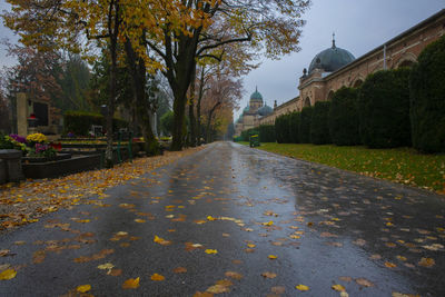 Street amidst trees and buildings in city