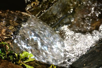 Close-up of water flowing through rocks