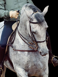 Low section of man horseback riding against black background