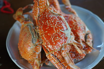 Close-up of seafood in plate