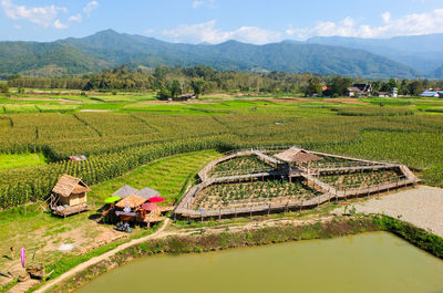 Scenic view of agricultural field against mountains