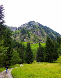 Scenic view of landscape against clear sky