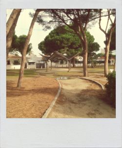 Walkway along trees