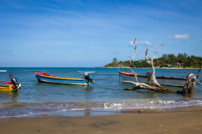 People on beach against blue sky