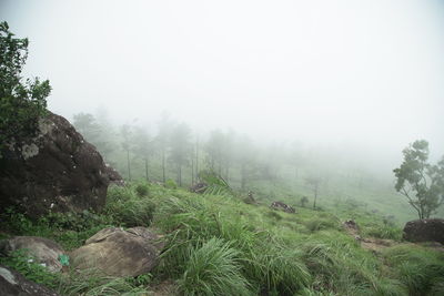 Scenic view of landscape against sky