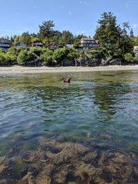 Man swimming in lake against sky