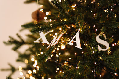 Low angle view of christmas tree