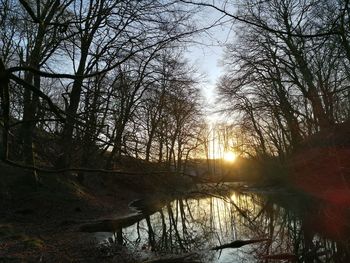 Scenic view of river in forest at sunset