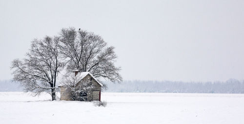 Bare tree on snow covered field against sky during winter