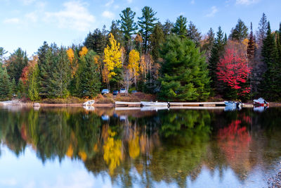 Scenic view of lake in forest during autumn