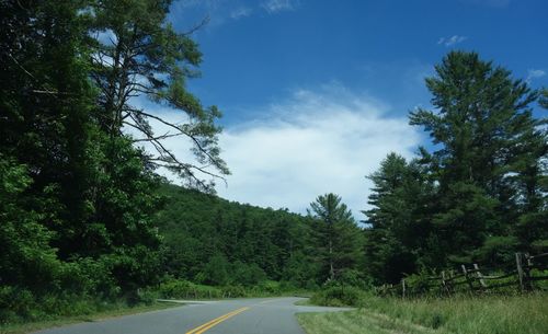 Road amidst trees in forest against sky