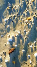 High angle view of footprints on wet sand