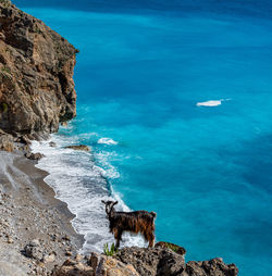 Scenic view of sea and rock