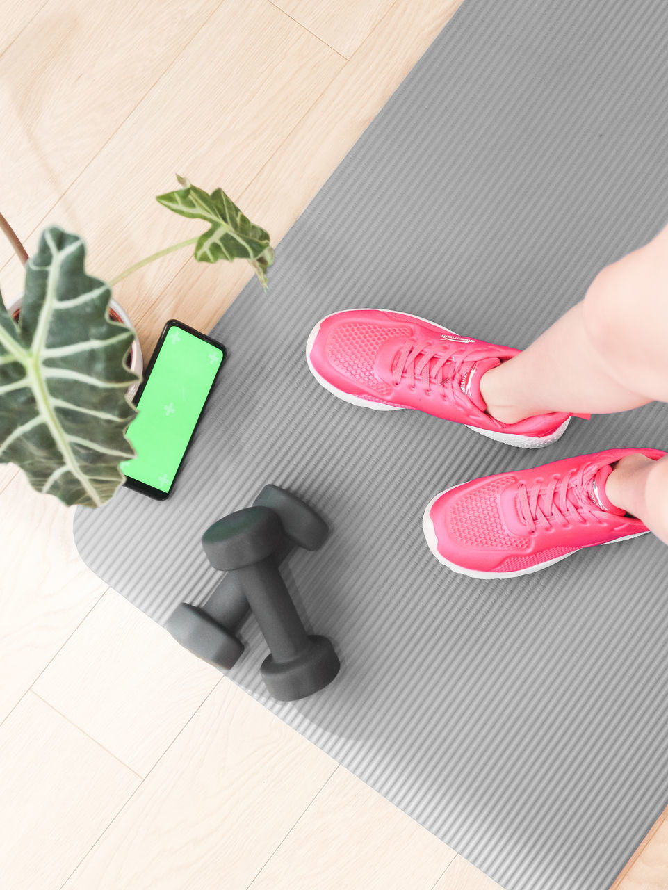 one person, indoors, adult, women, high angle view, hand, flooring, shoe, lifestyles, footwear, pink, human leg