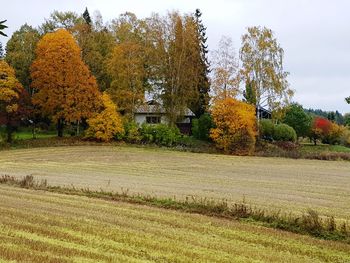 Trees on field against sky during autumn