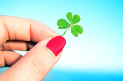 Cropped hand of woman holding clover leaf against sky