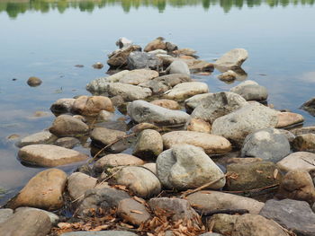 Pebbly lakeside