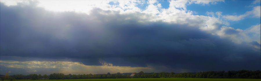 Panoramic view of trees on field against sky