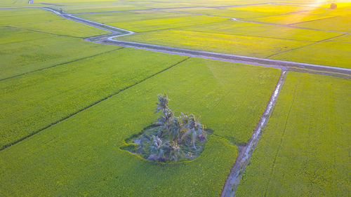 High angle view of road