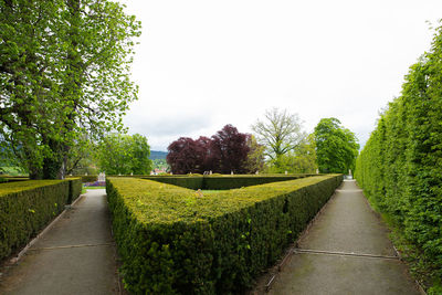 Footpath amidst grass and trees against sky