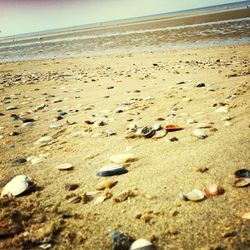 Scenic view of beach