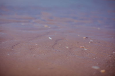 Full frame shot of wet sand