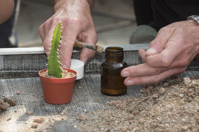 Close-up of person preparing food on table