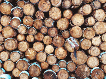 Full frame shot of logs