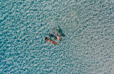 Drone view of couple swimming in sea on sunny day