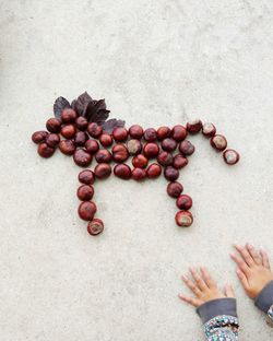 High angle view of hand holding fruits