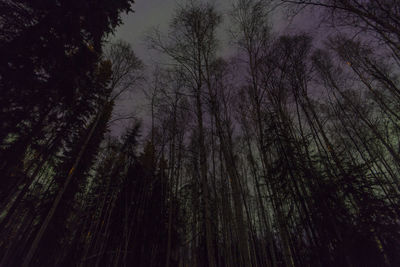 Low angle view of trees against sky