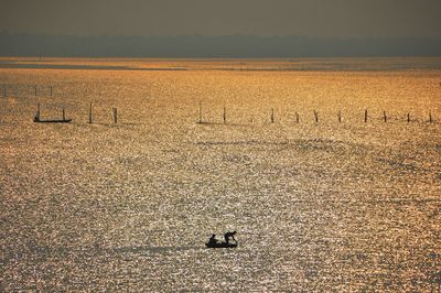 Scenic view of sea shore