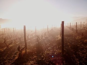 Wooden posts on field against sky during winter