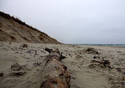 Driftwood on beach against sky