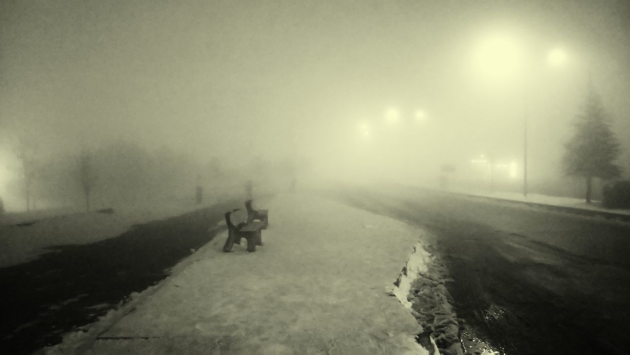 ROAD AMIDST TREES DURING FOGGY WEATHER