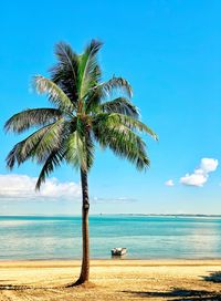 Palm tree by sea against sky