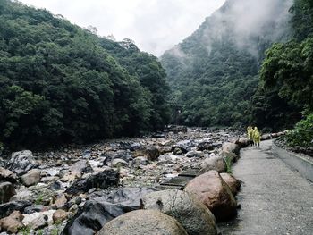 Scenic view of mountains in forest