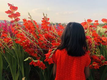 Rear view of woman standing on red flowering plants against sky