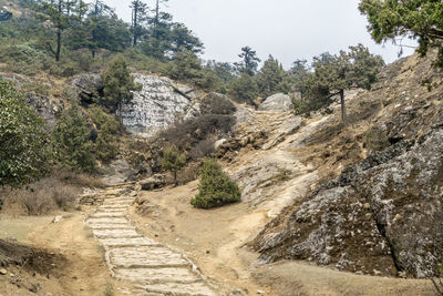 Footpath amidst rocks against trees