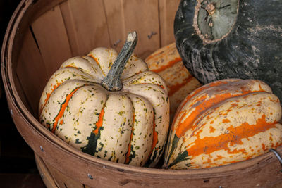 Close-up of pumpkin