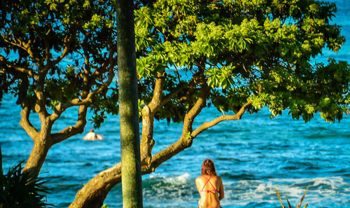 Rear view of woman standing by tree against sea