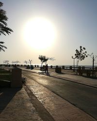 Street by palm trees against sky during sunset