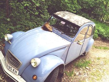 Abandoned car on grass