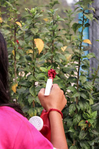 Low section of woman holding pink flowering plants