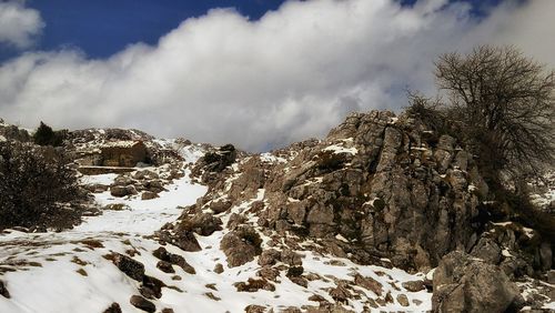 Panoramic view of snow covered trees against sky