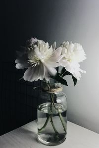 Close-up of flowers in vase on table