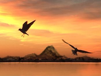 Silhouette bird flying over lake against sky during sunset